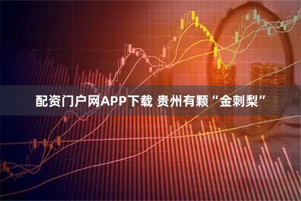 配资门户网APP下载 贵州有颗“金刺梨”