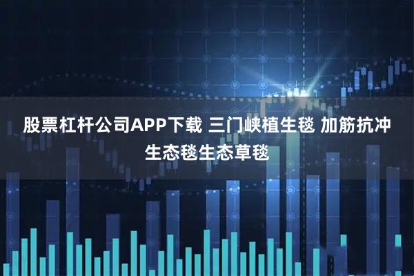 股票杠杆公司APP下载 三门峡植生毯 加筋抗冲生态毯生态草毯