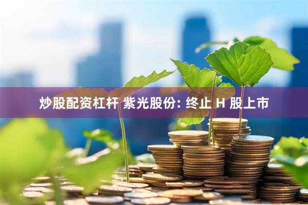 炒股配资杠杆 紫光股份: 终止 H 股上市
