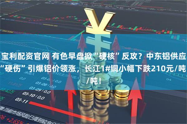 宝利配资官网 有色早盘掀“硬核”反攻？中东铝供应“硬伤”引爆铝价领涨，长江1#铜小幅下跌210元/吨！